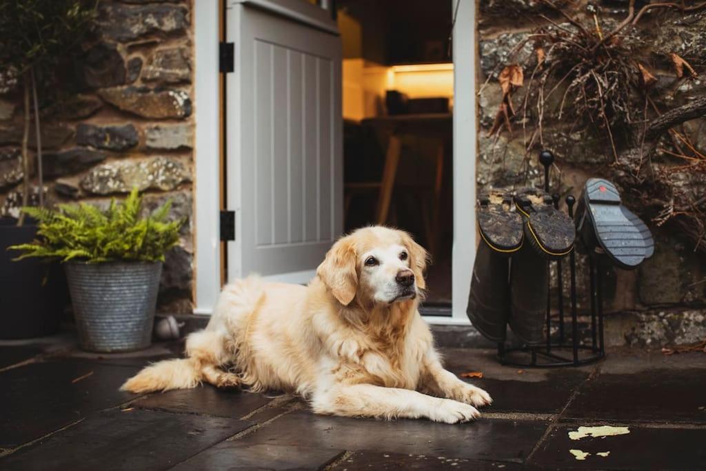 River Cottage, A Luxurious And Cosy Riverside Cottage For Two Welshpool Kültér fotó