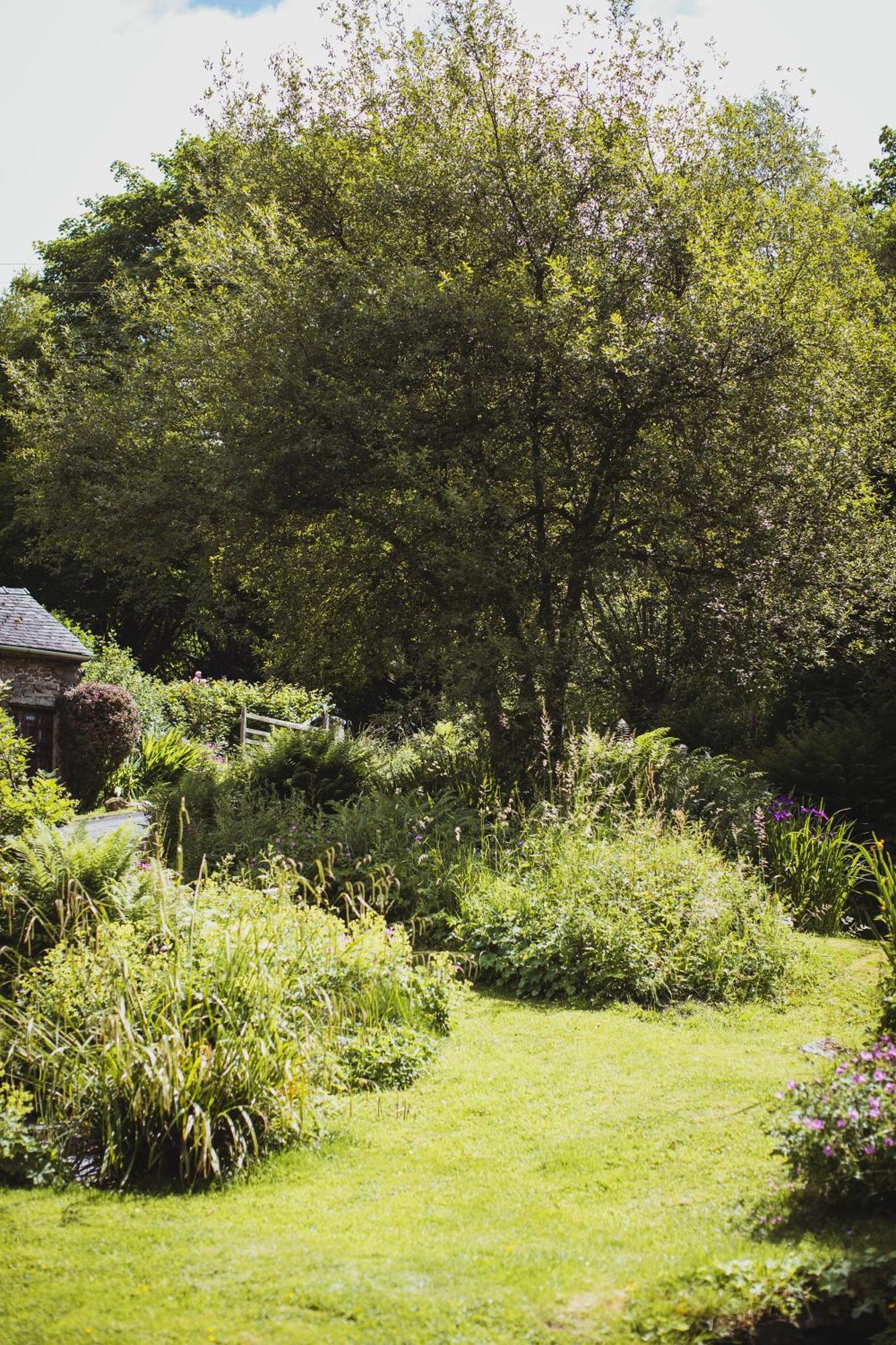 River Cottage, A Luxurious And Cosy Riverside Cottage For Two Welshpool Kültér fotó